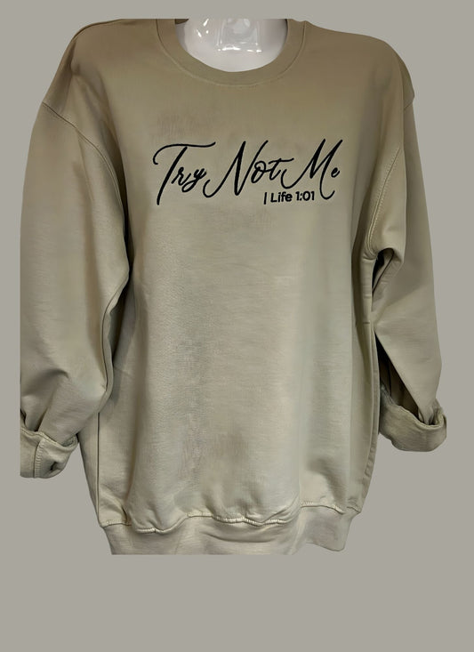 Try Not Me™ | Life 1:01 (Adult Tee / Hoodie)